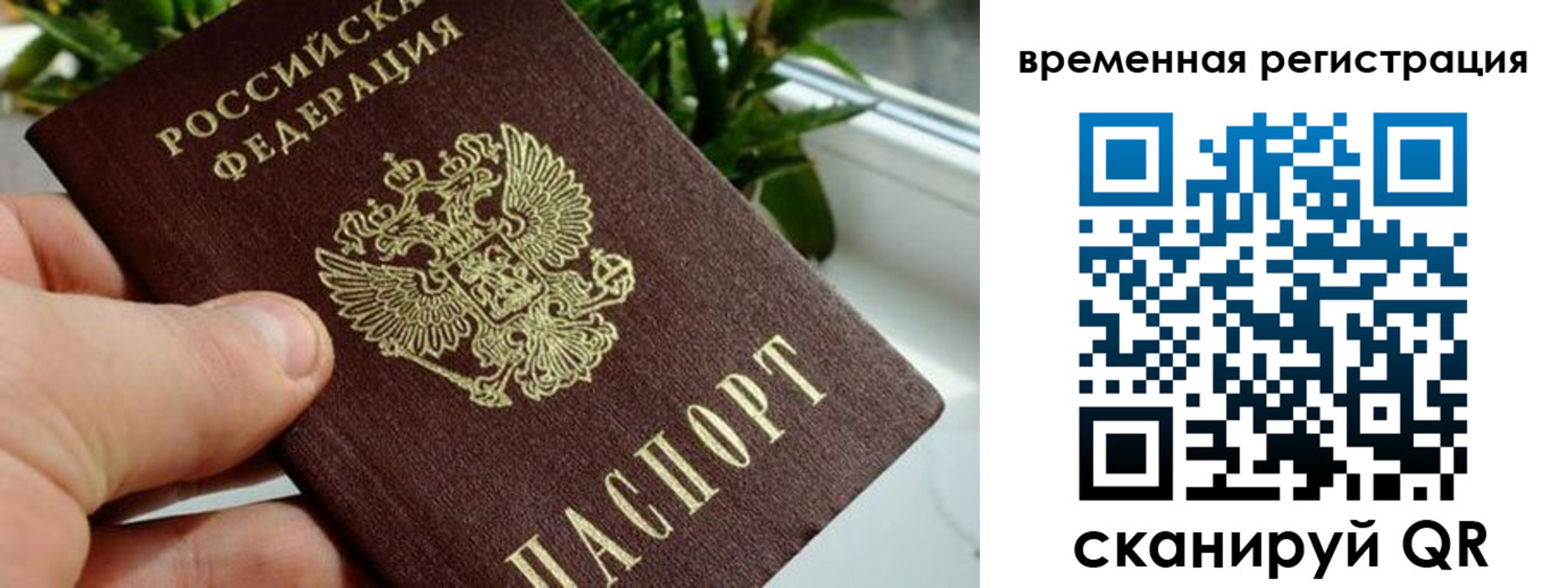 прописка поиск в Ненецком АО